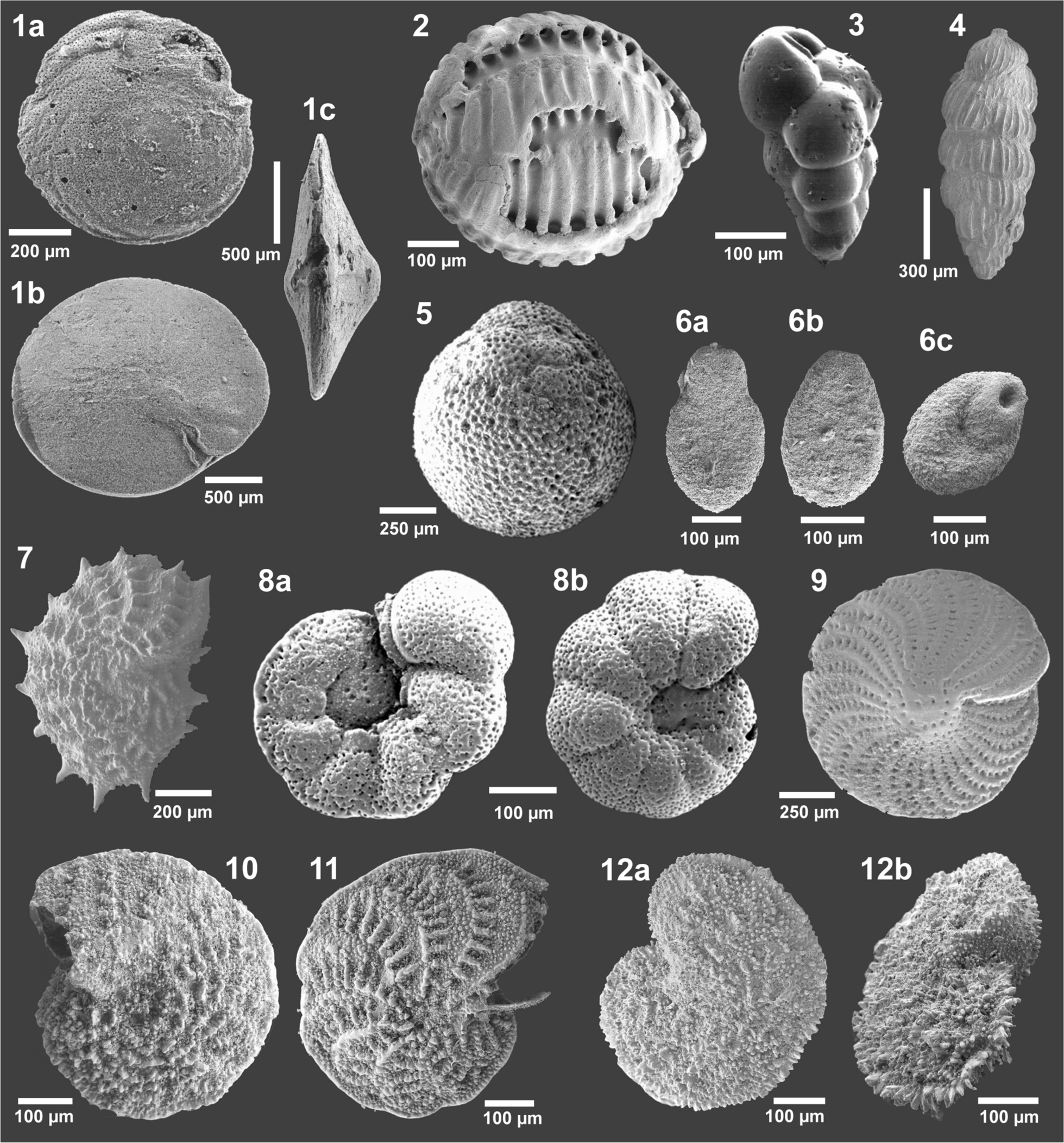 Fig. 10