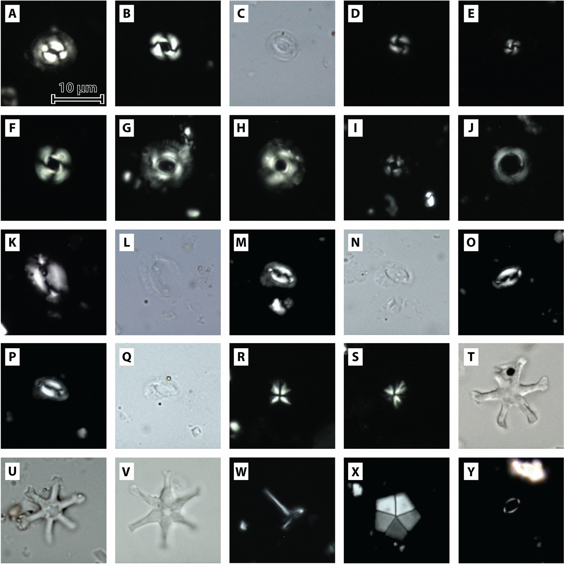 Fig. 11