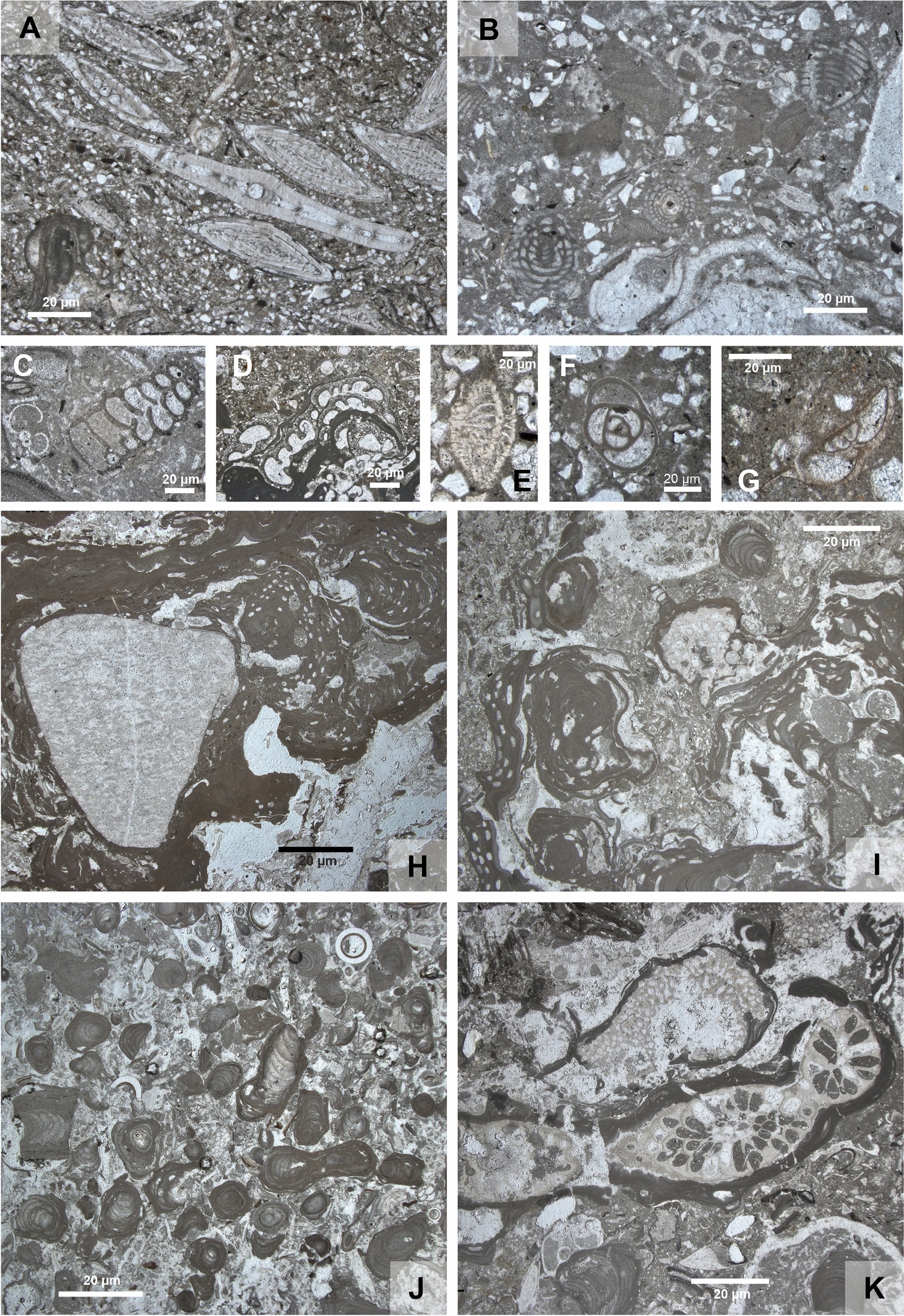 Fig. 8