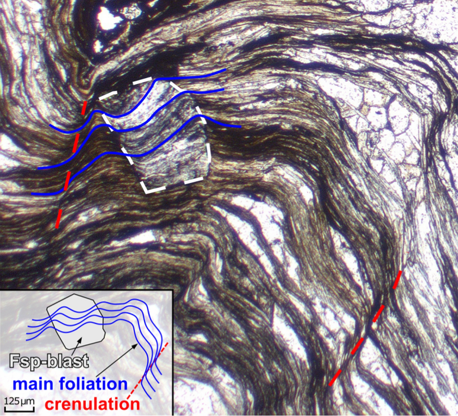 Fig. 8