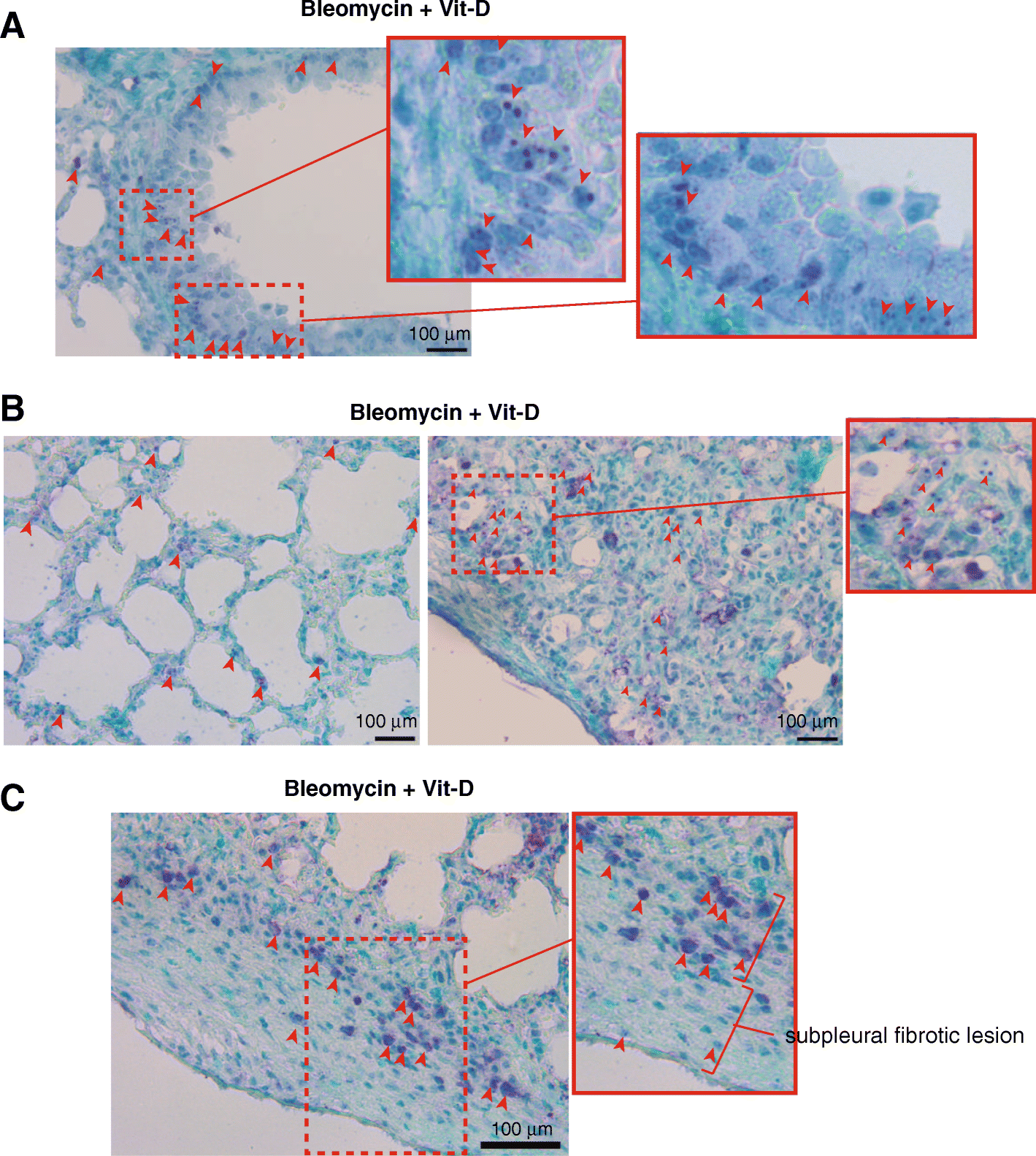 Fig. 9