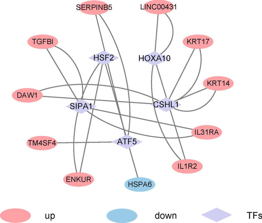 Fig. 12