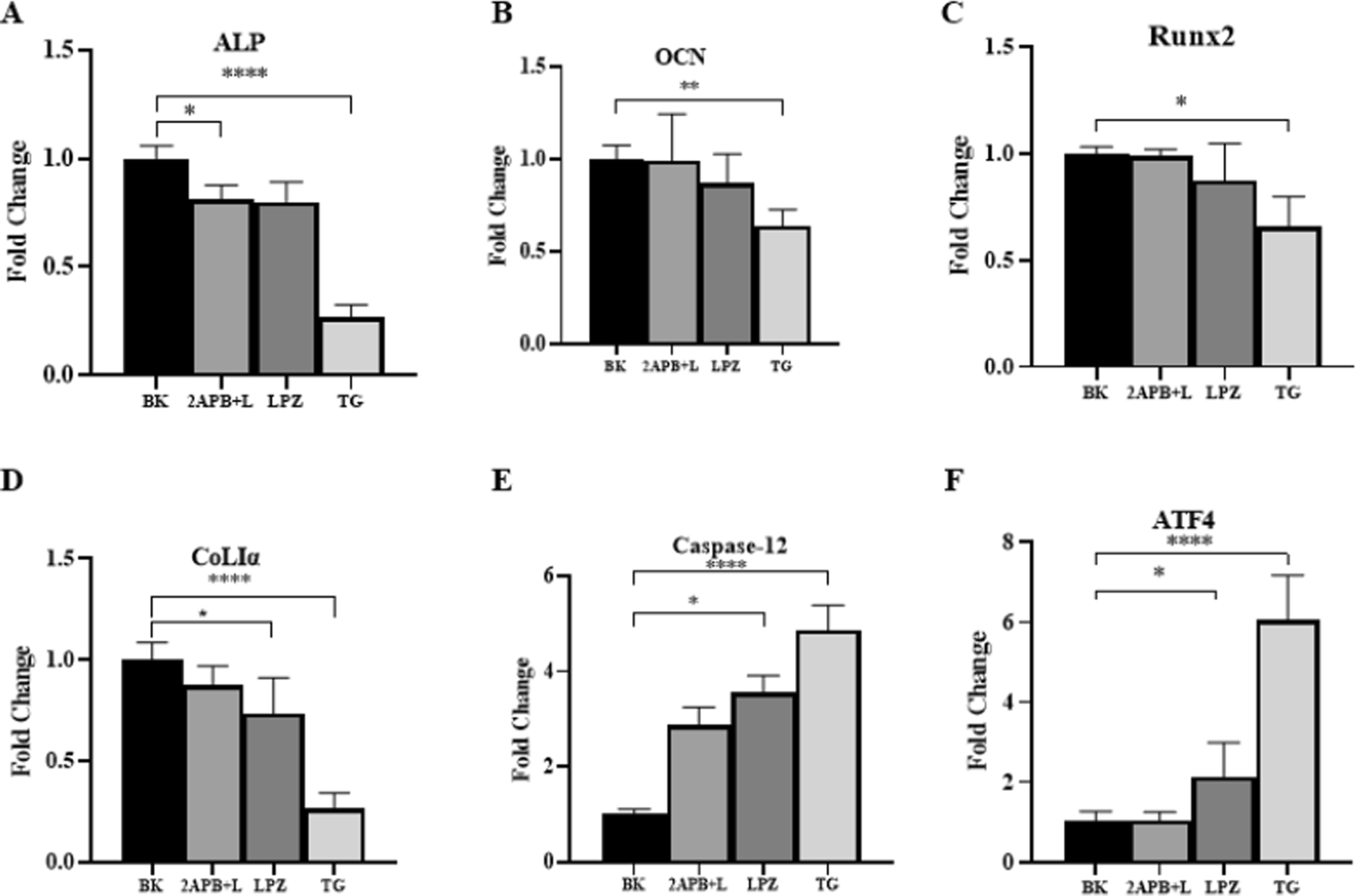 Fig. 10