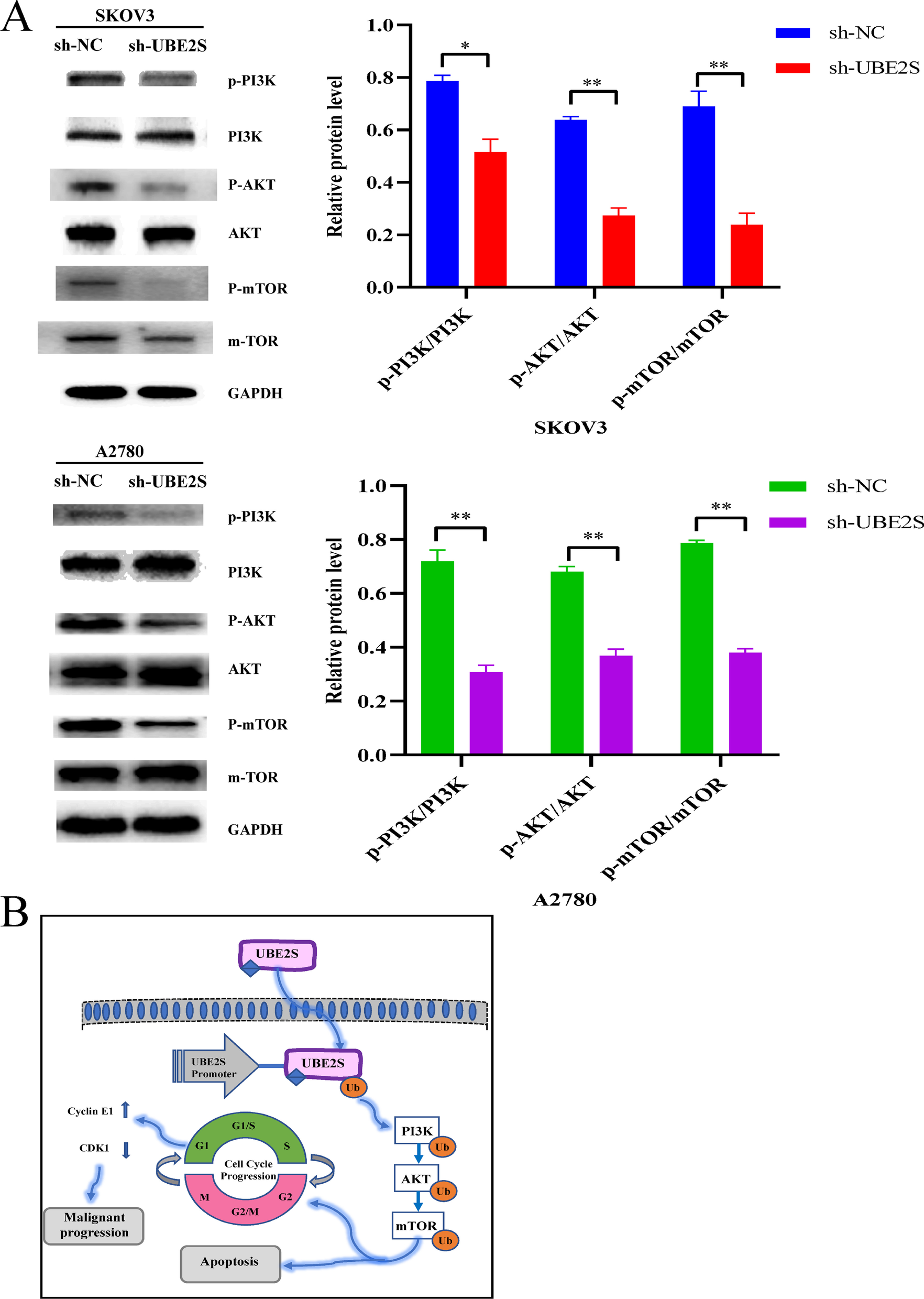 Fig. 12