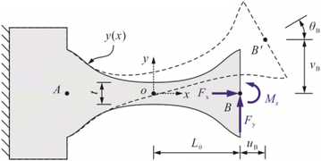 Figure 2