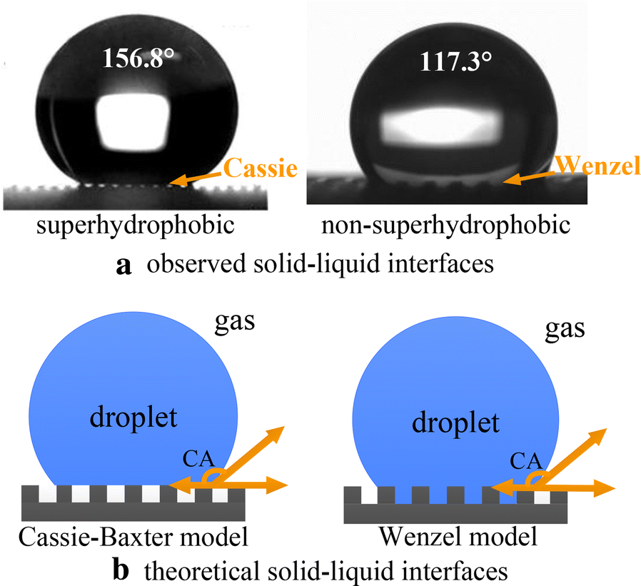 Figure 8