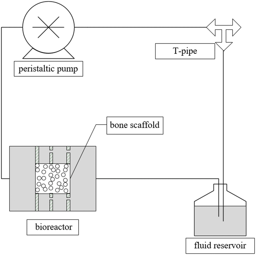 Figure 5