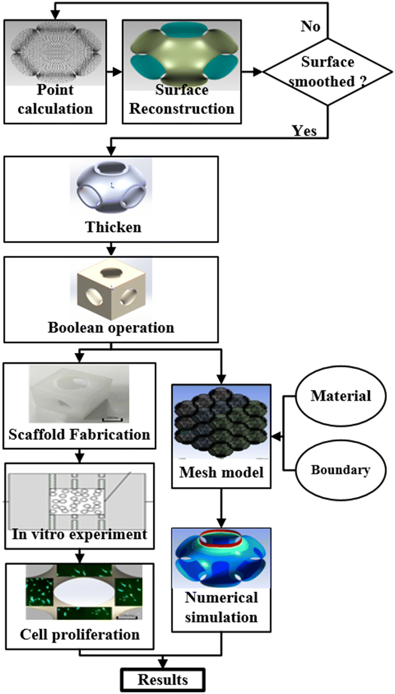 Figure 7