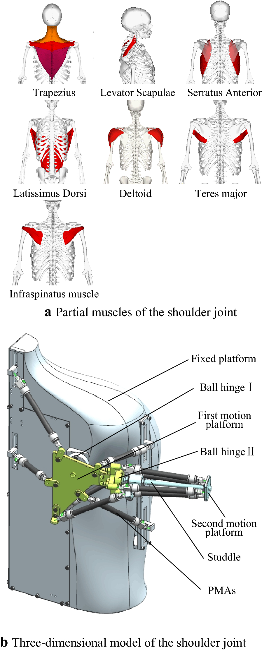 Figure 1