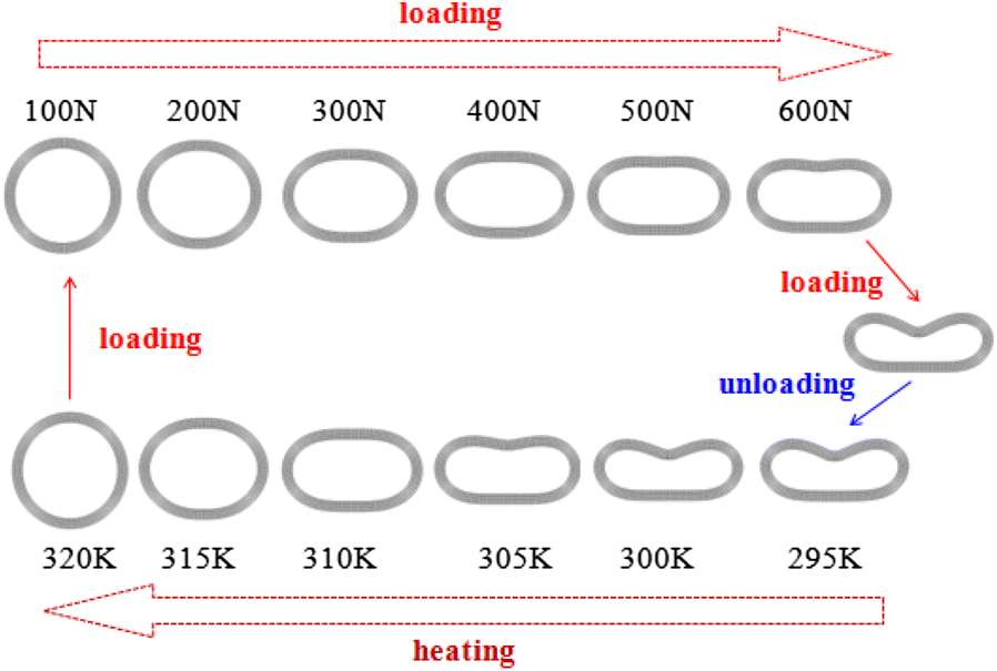 Figure 13