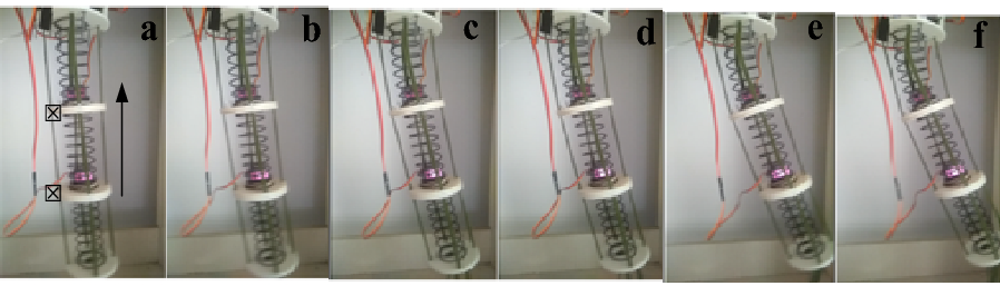 Figure 12