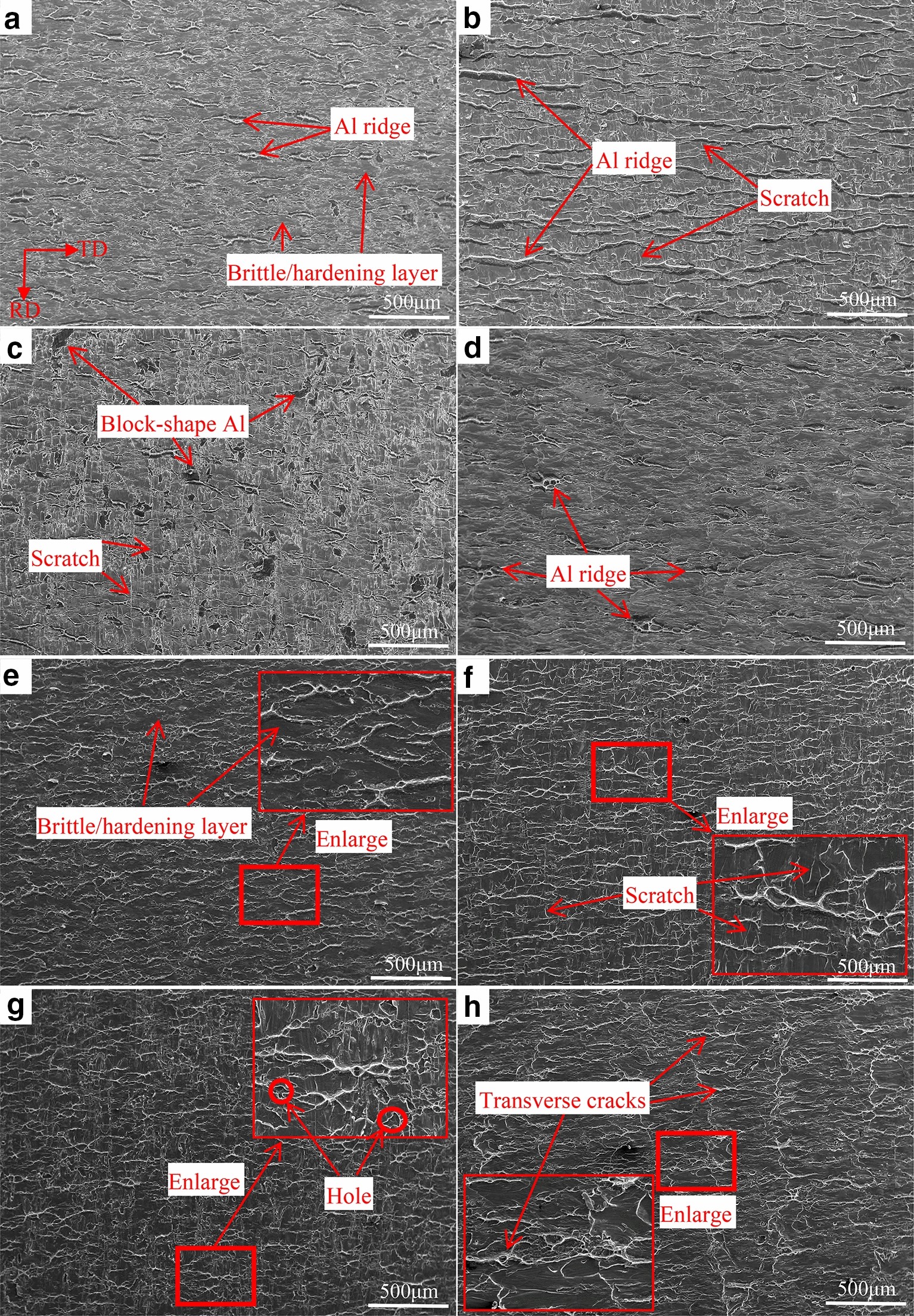 Fig. 8