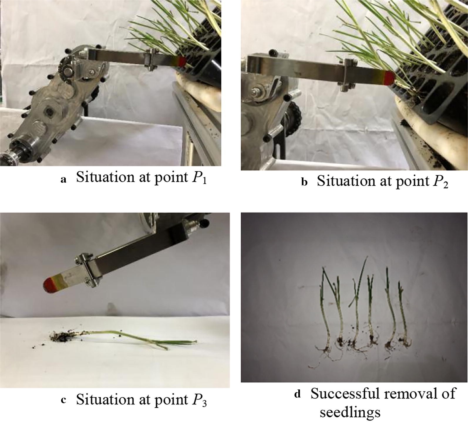 Figure 20