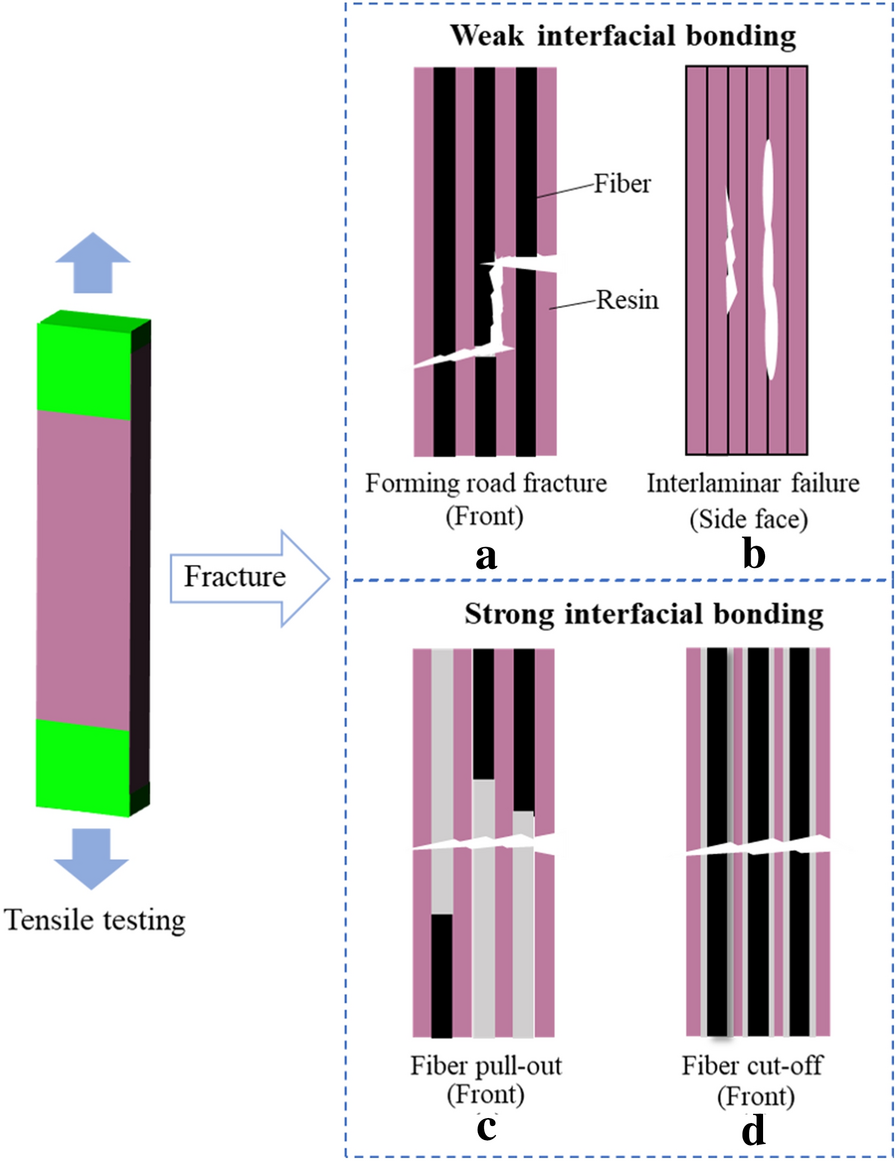 Figure 12