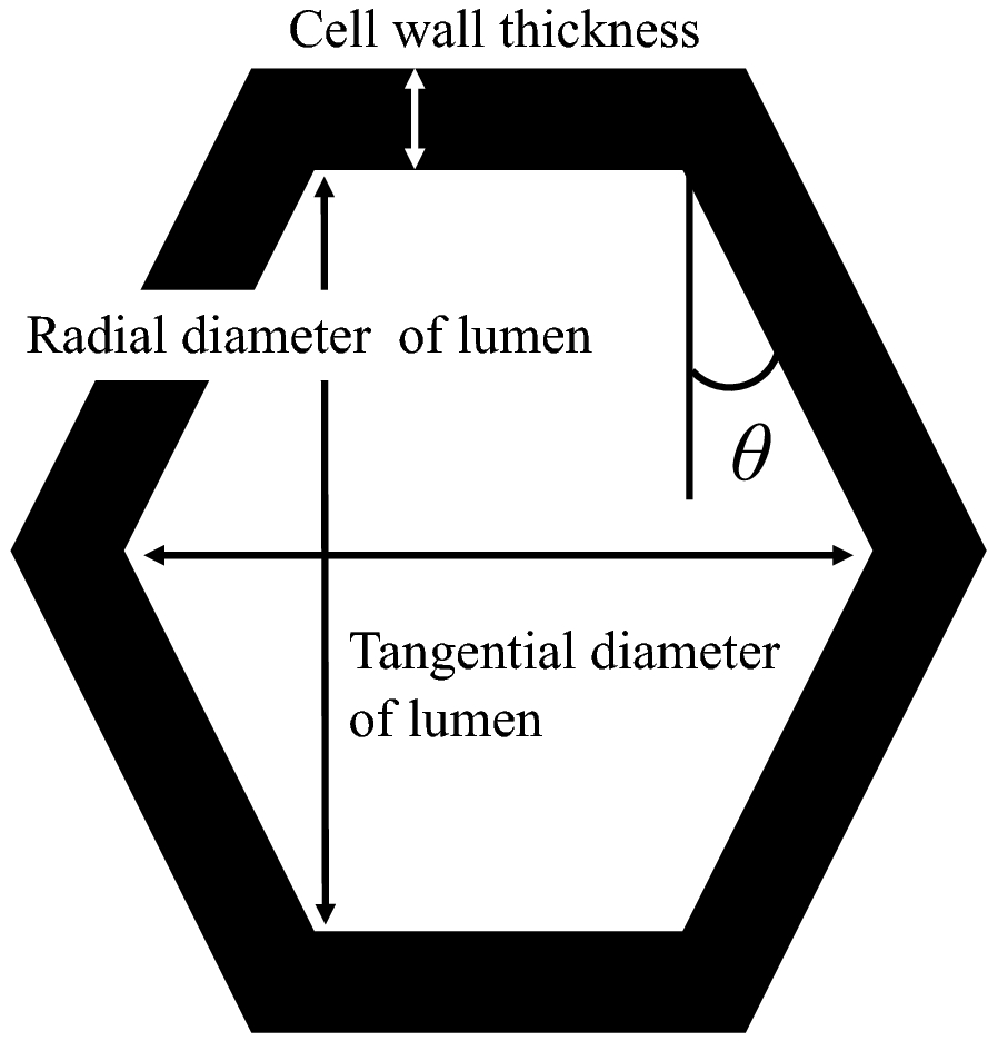 Fig. 2