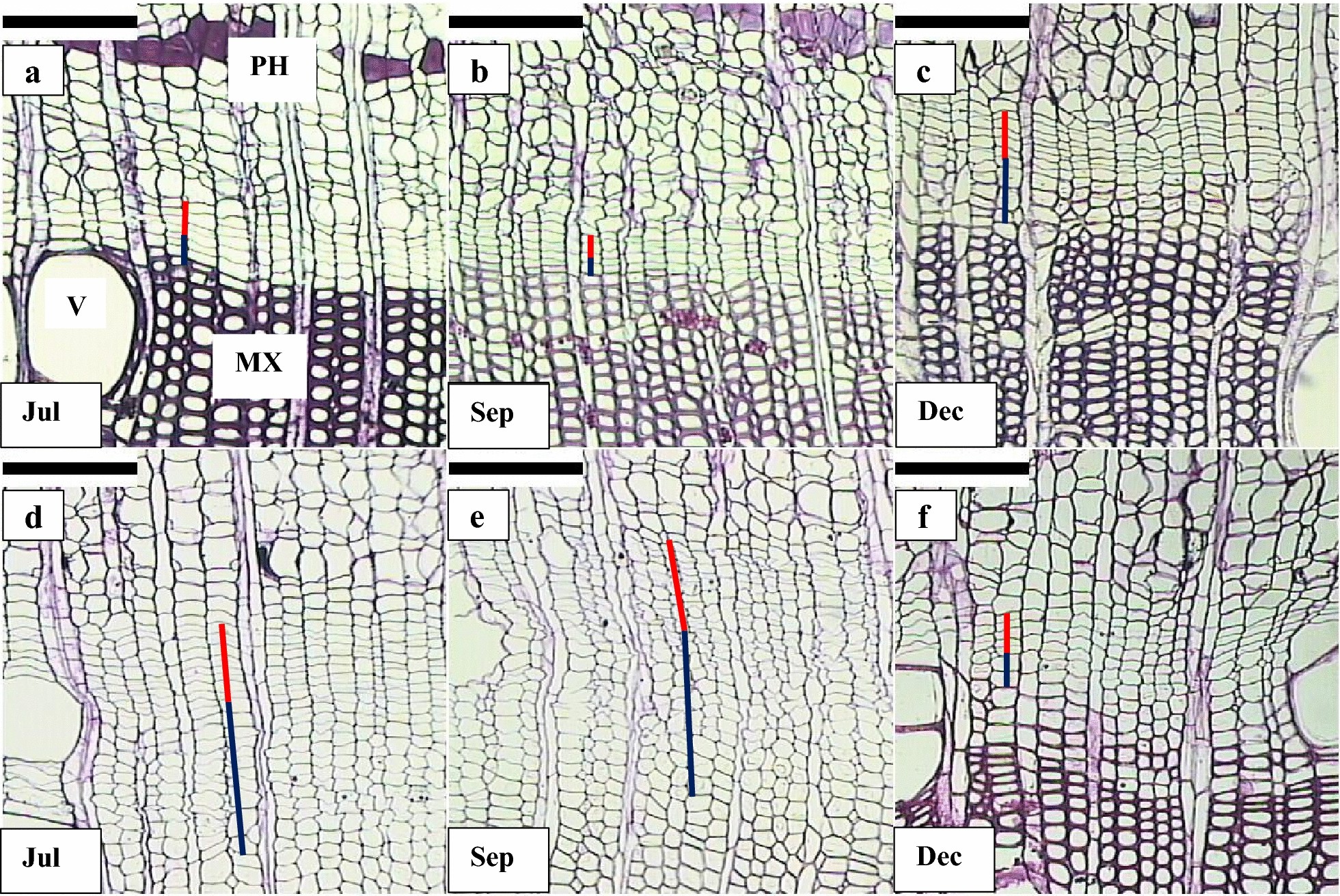 Fig. 4