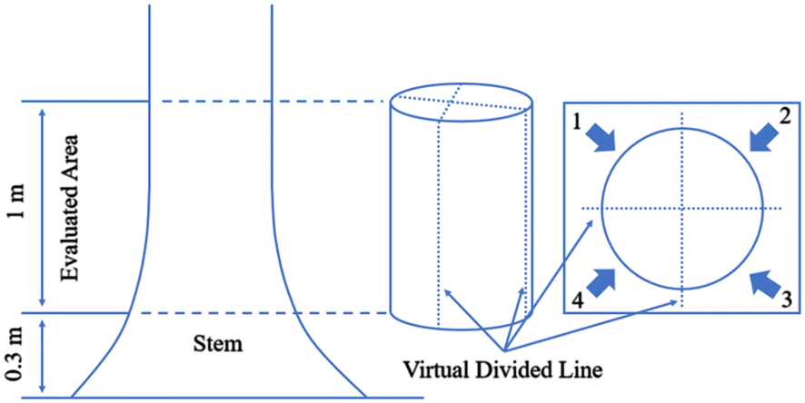 Fig. 2