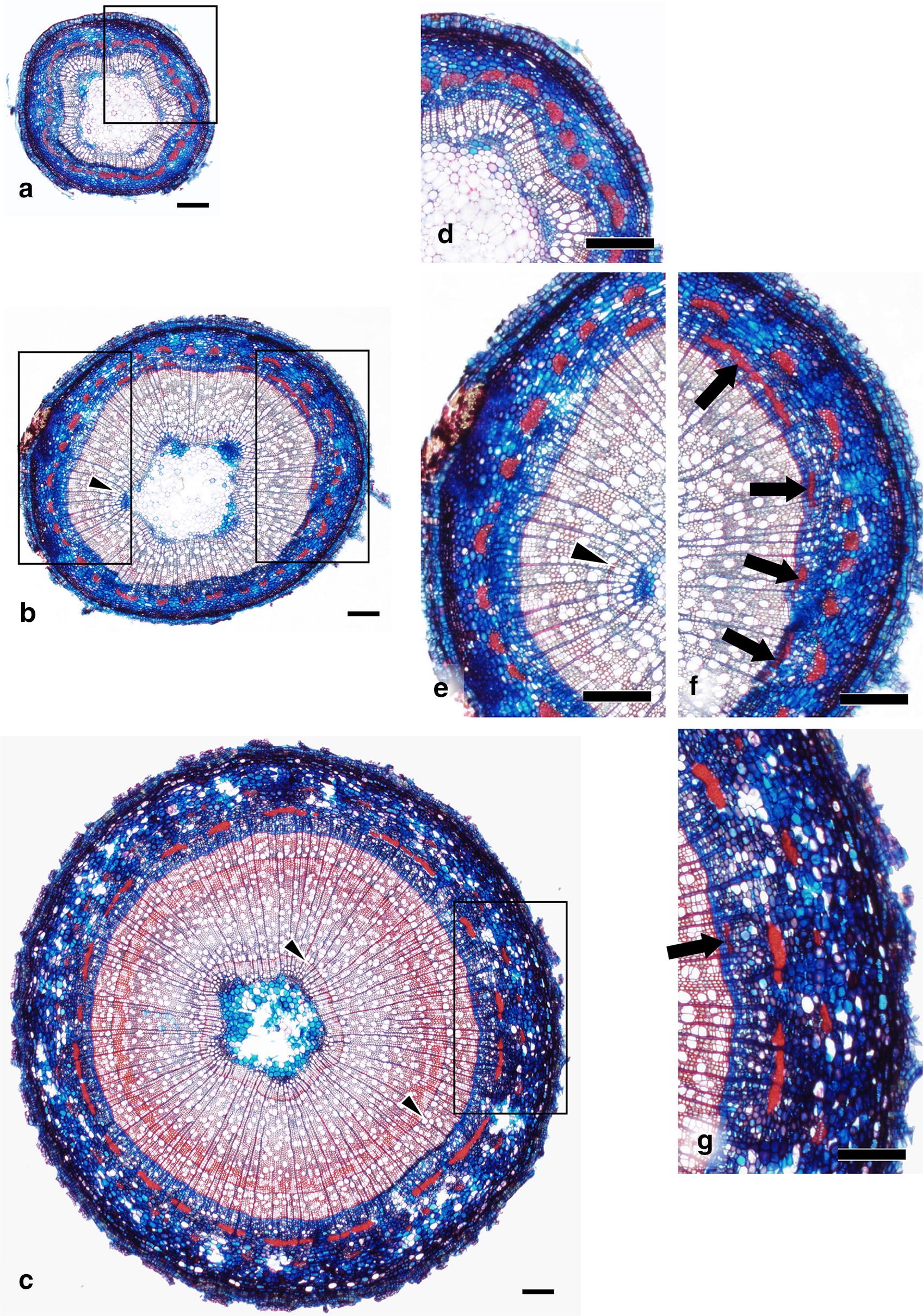 Fig. 3