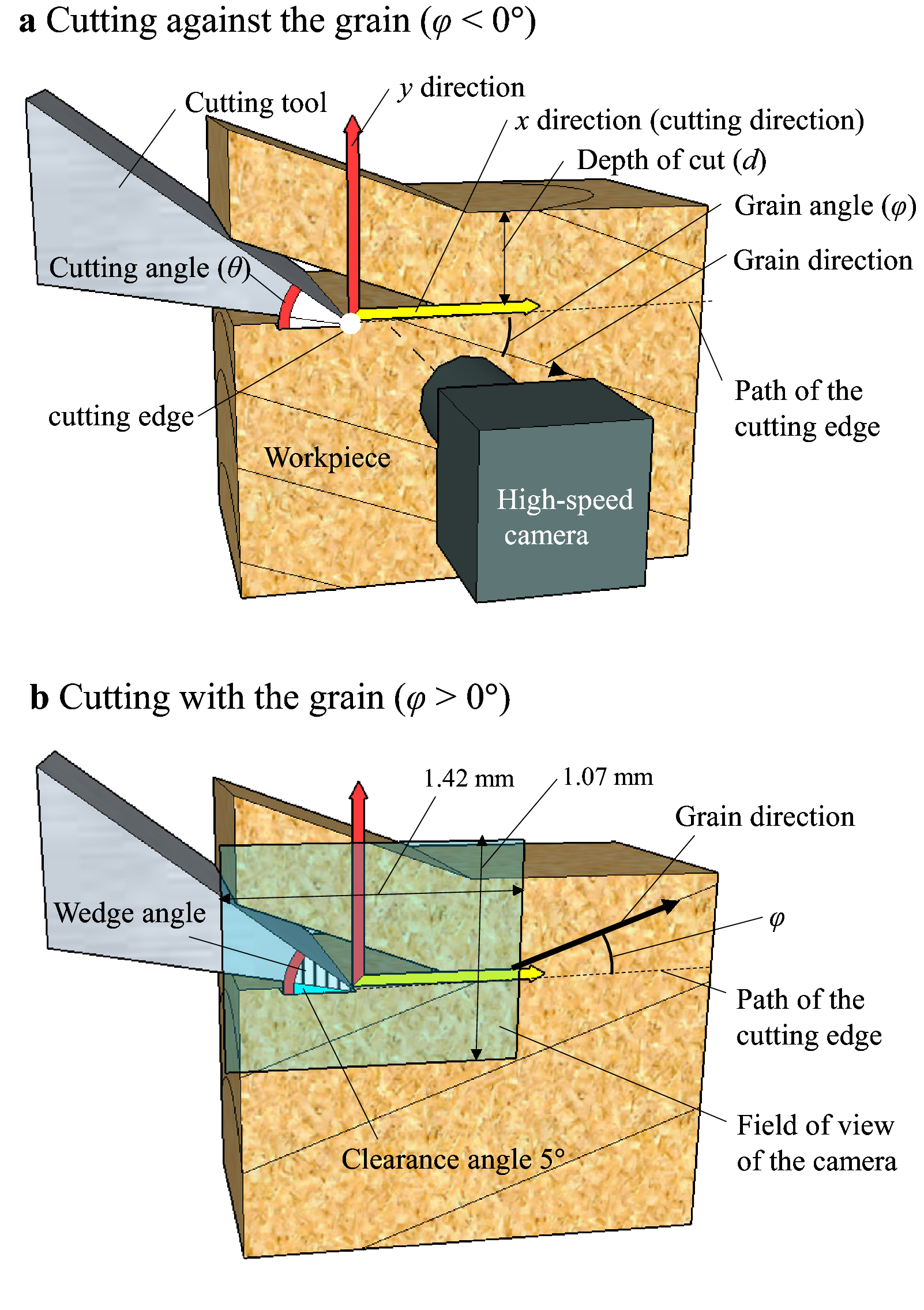 Fig. 1