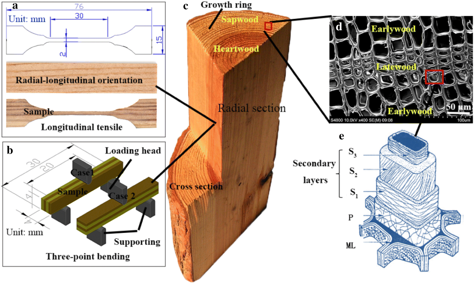 Fig. 1