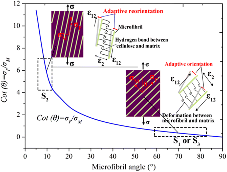 Fig. 7