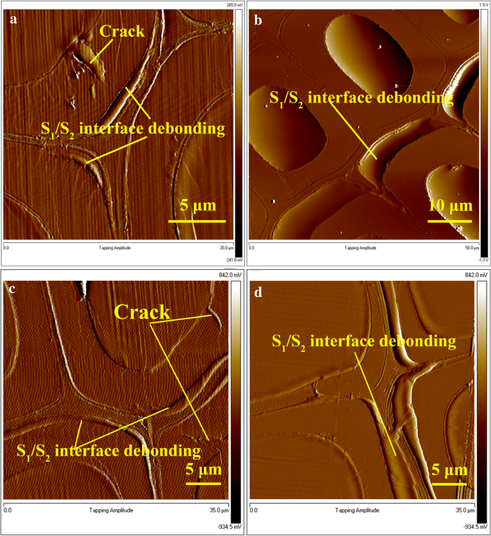 Fig. 8