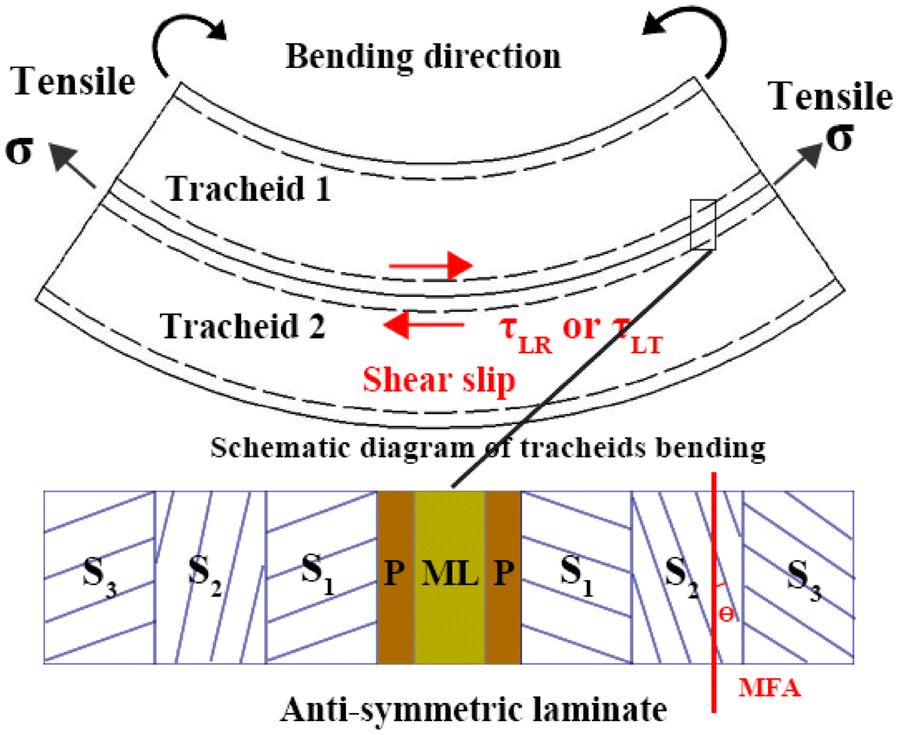 Fig. 9