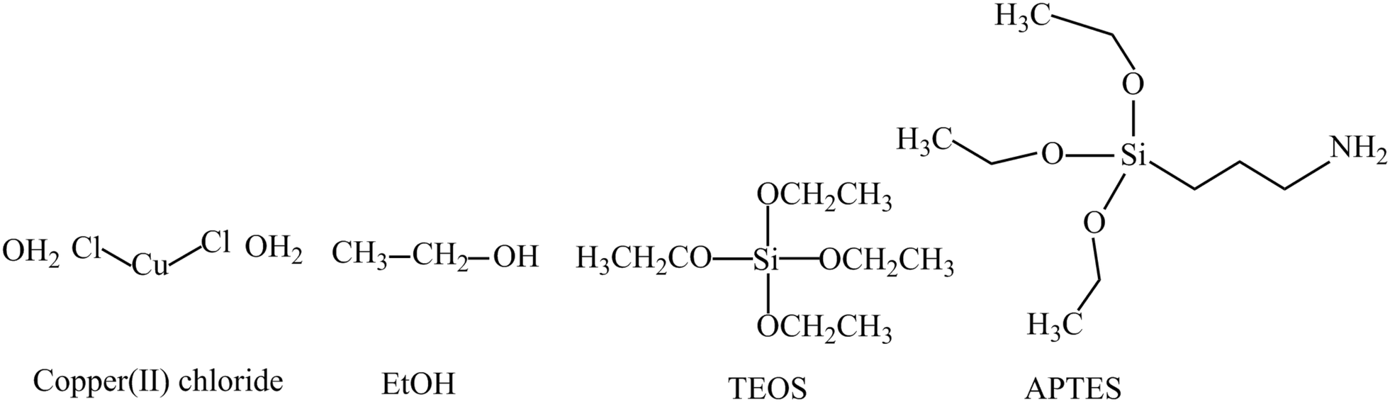 Fig. 1