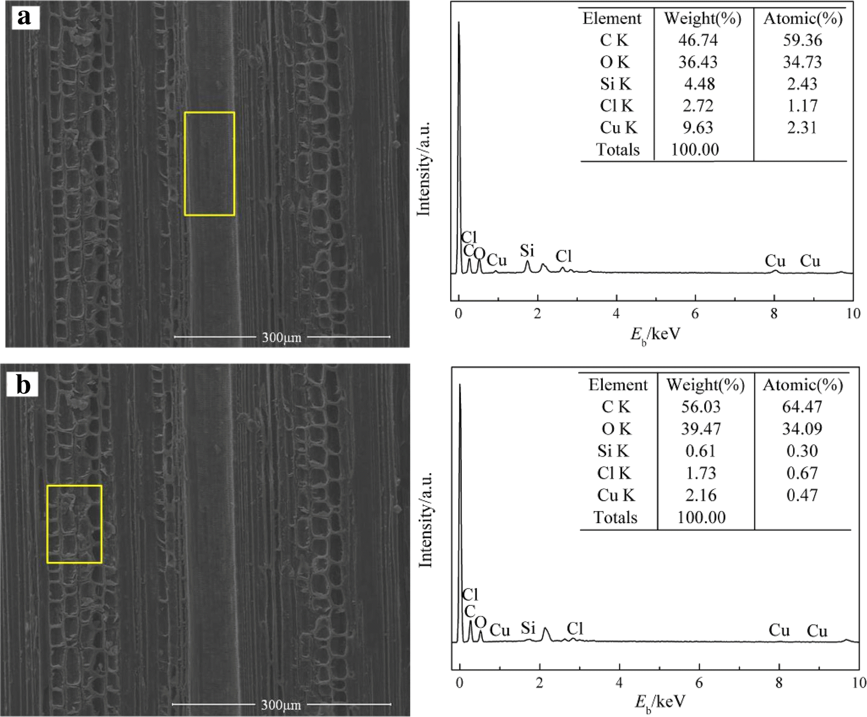 Fig. 6