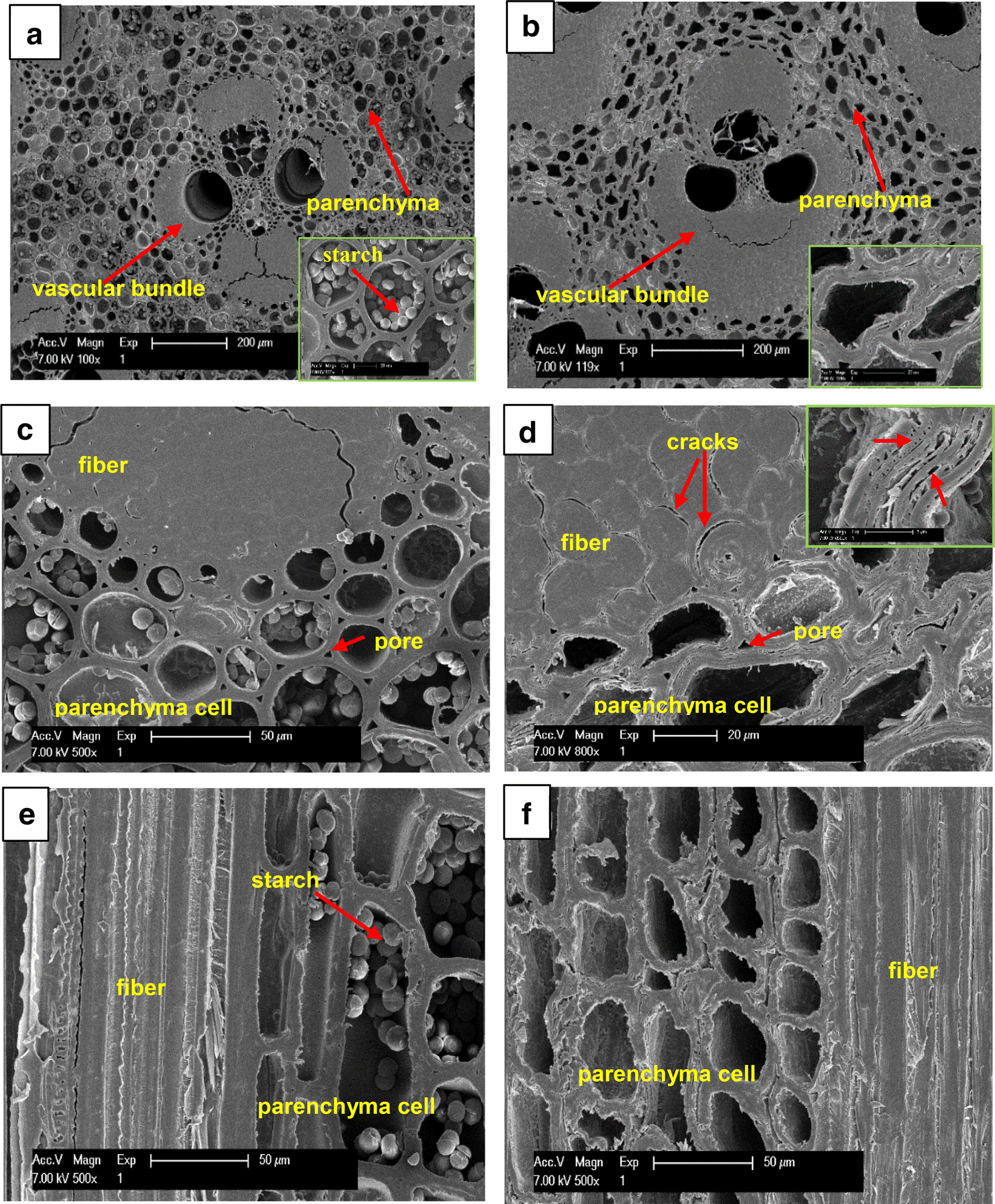 Fig. 5