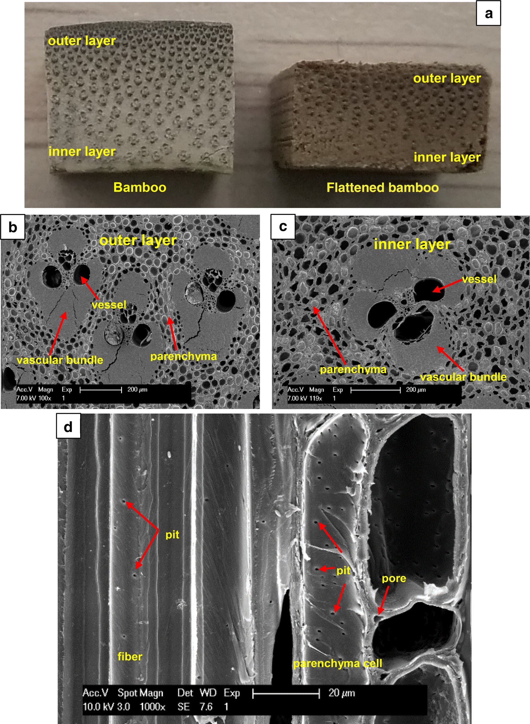 Fig. 9