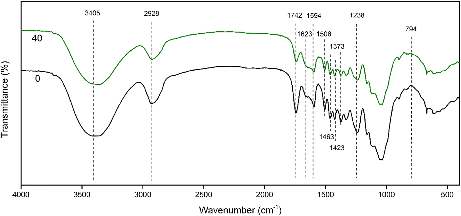 Fig. 3