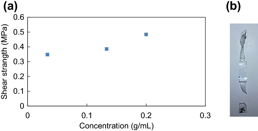 Fig. 8