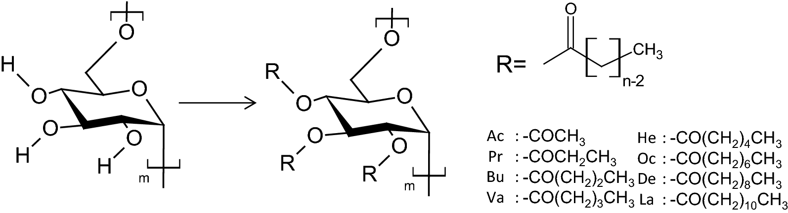 Scheme 1