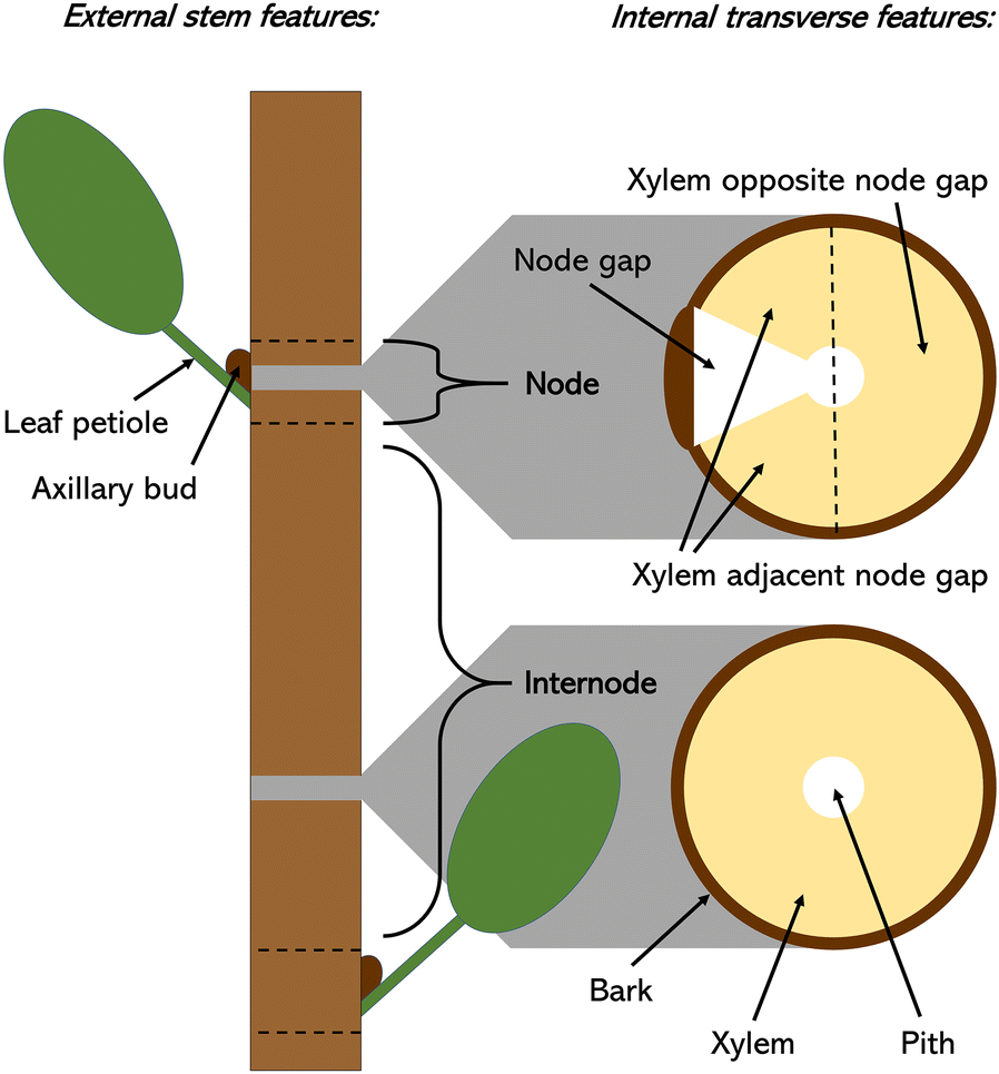 Fig. 1