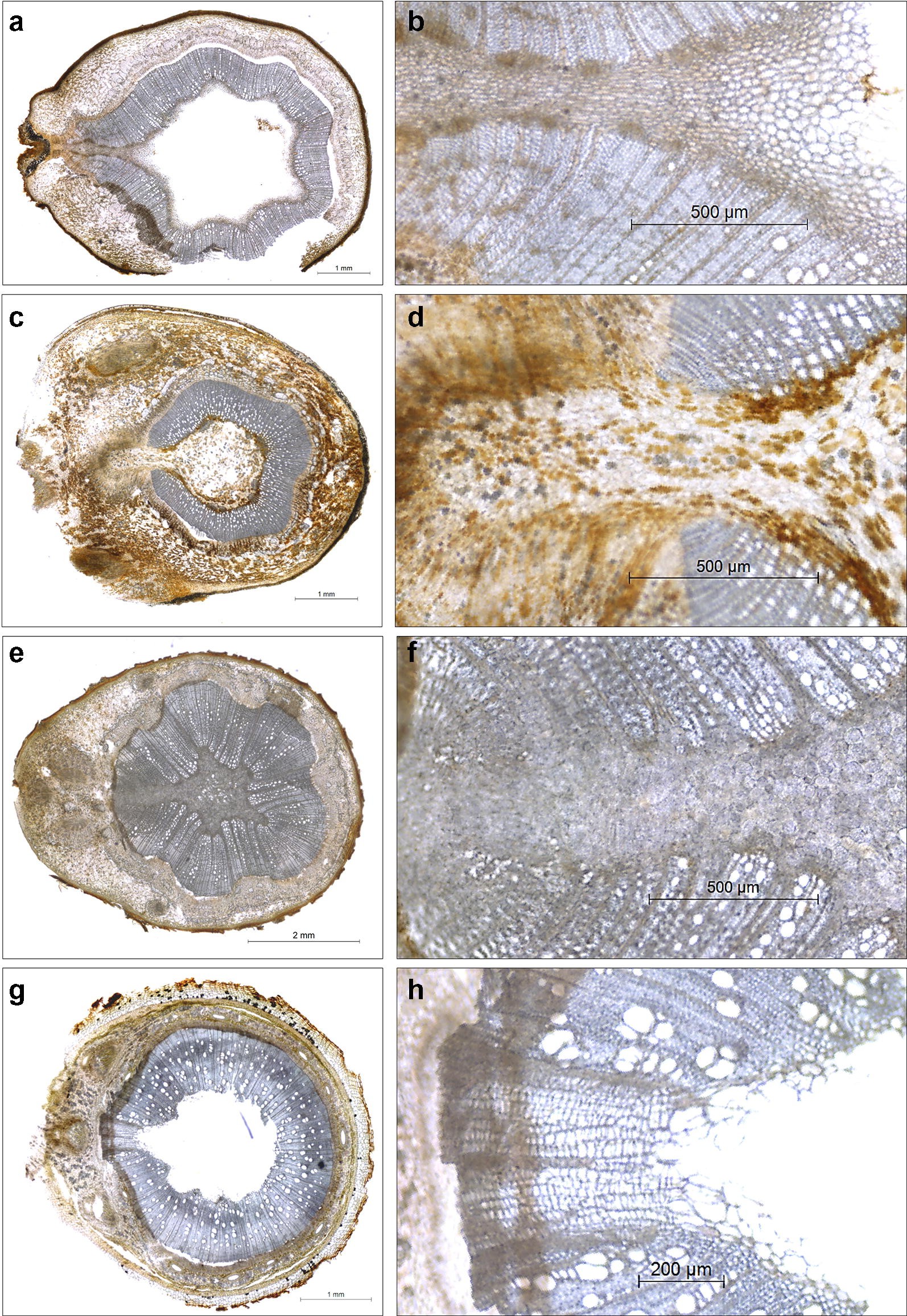 Fig. 5