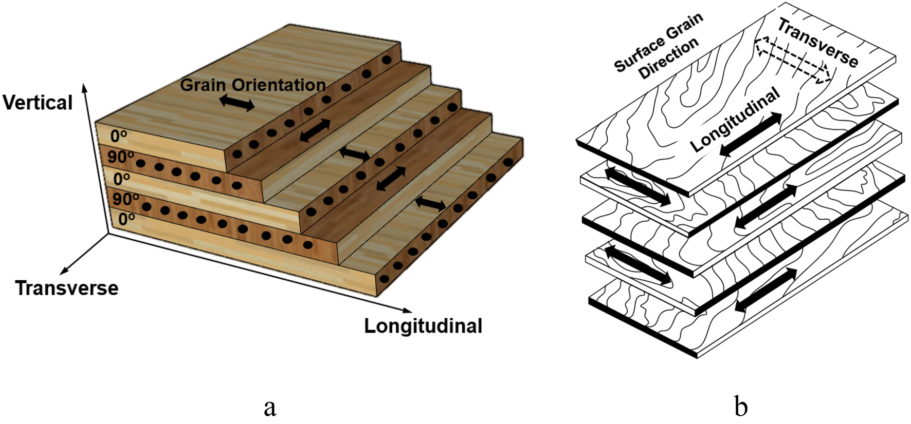 Laboratory plywood compression specimen and schematic of grain directions, reproduced from Cha et al., Figure 3.