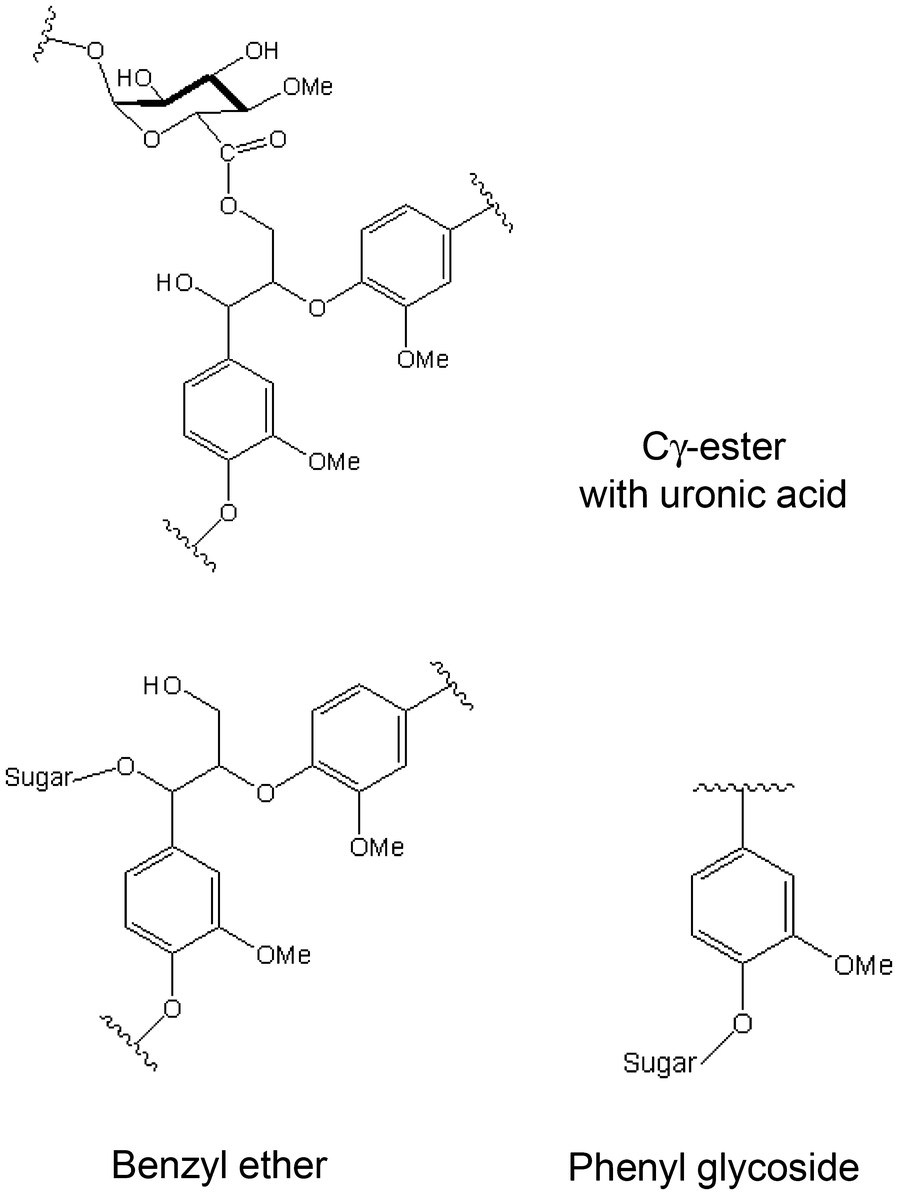 Fig. 7