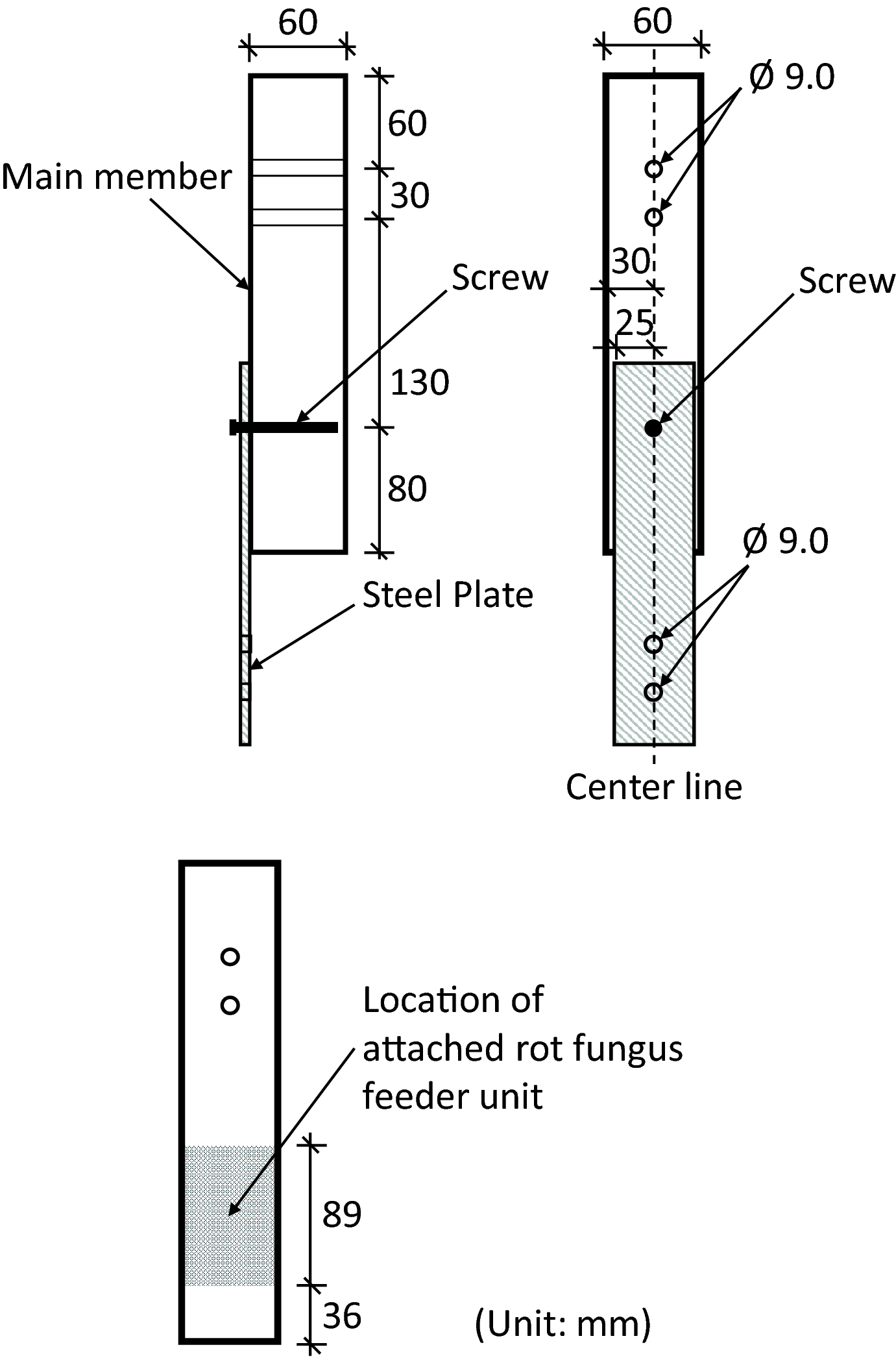 Fig. 1