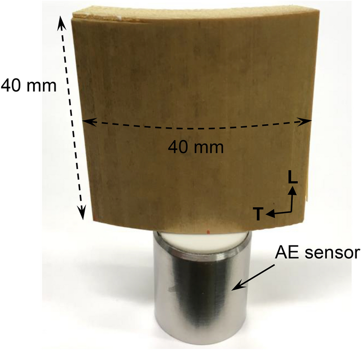 Fig. 1