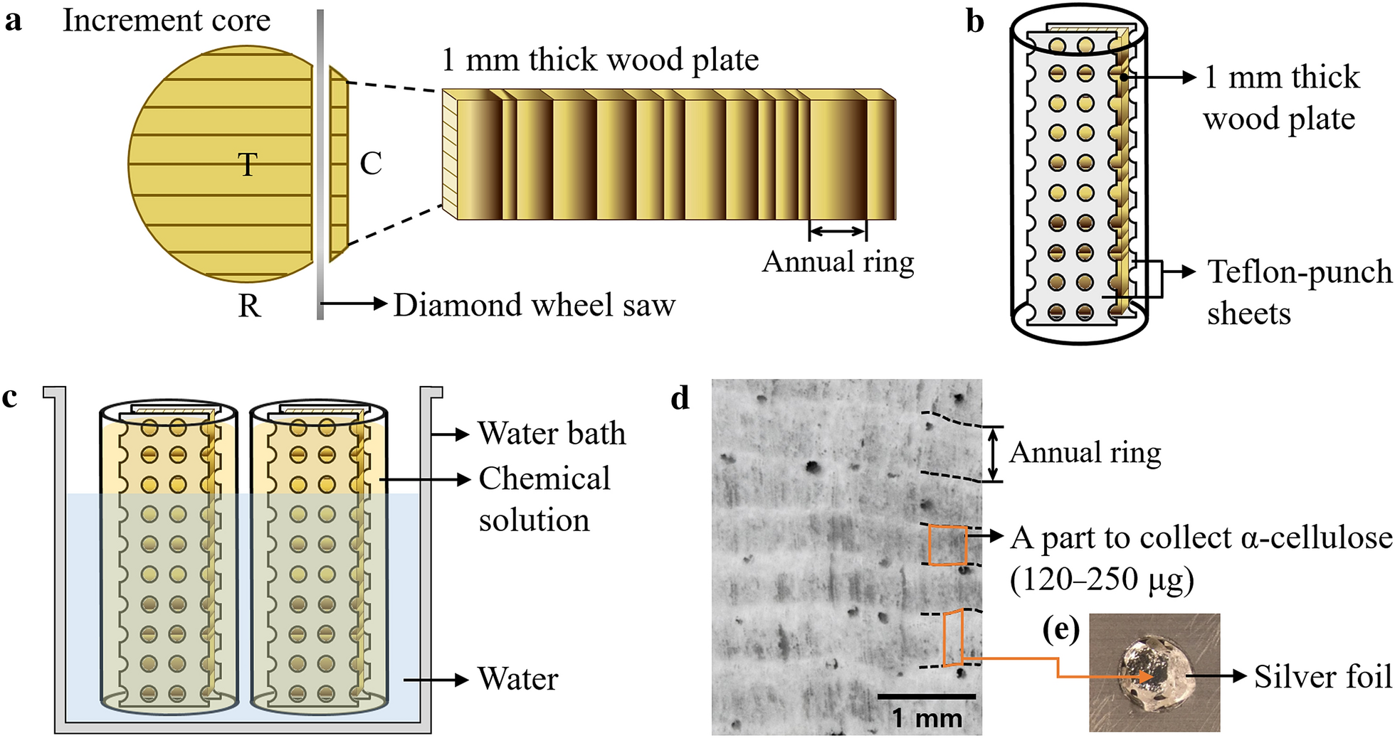 Fig. 2