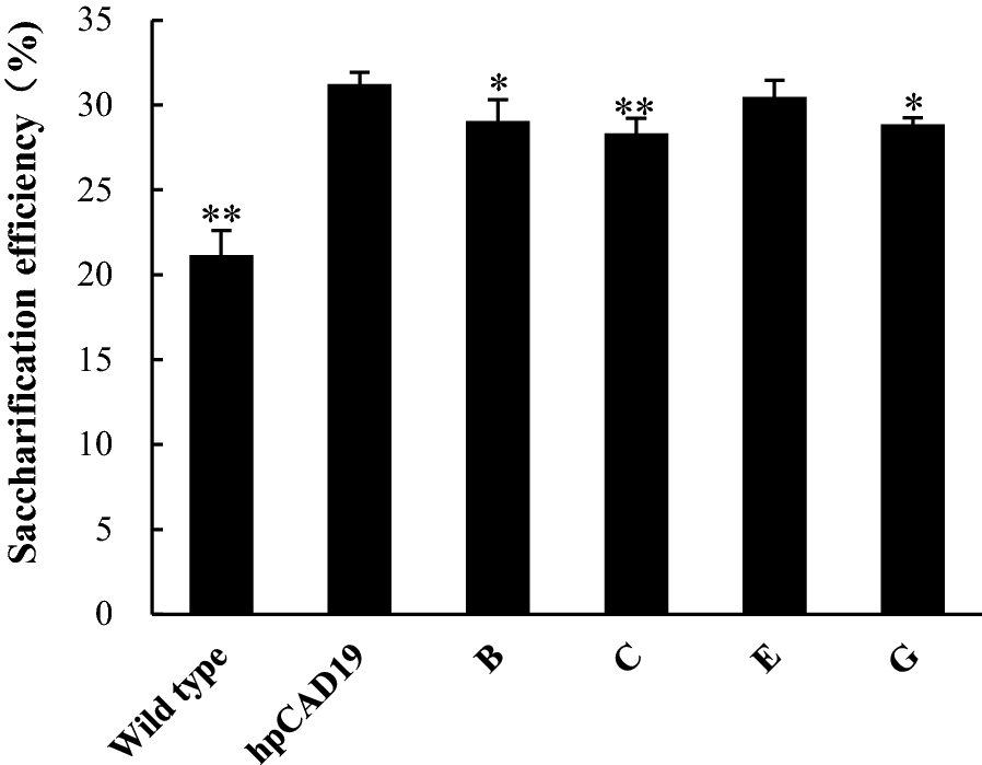 Fig. 6