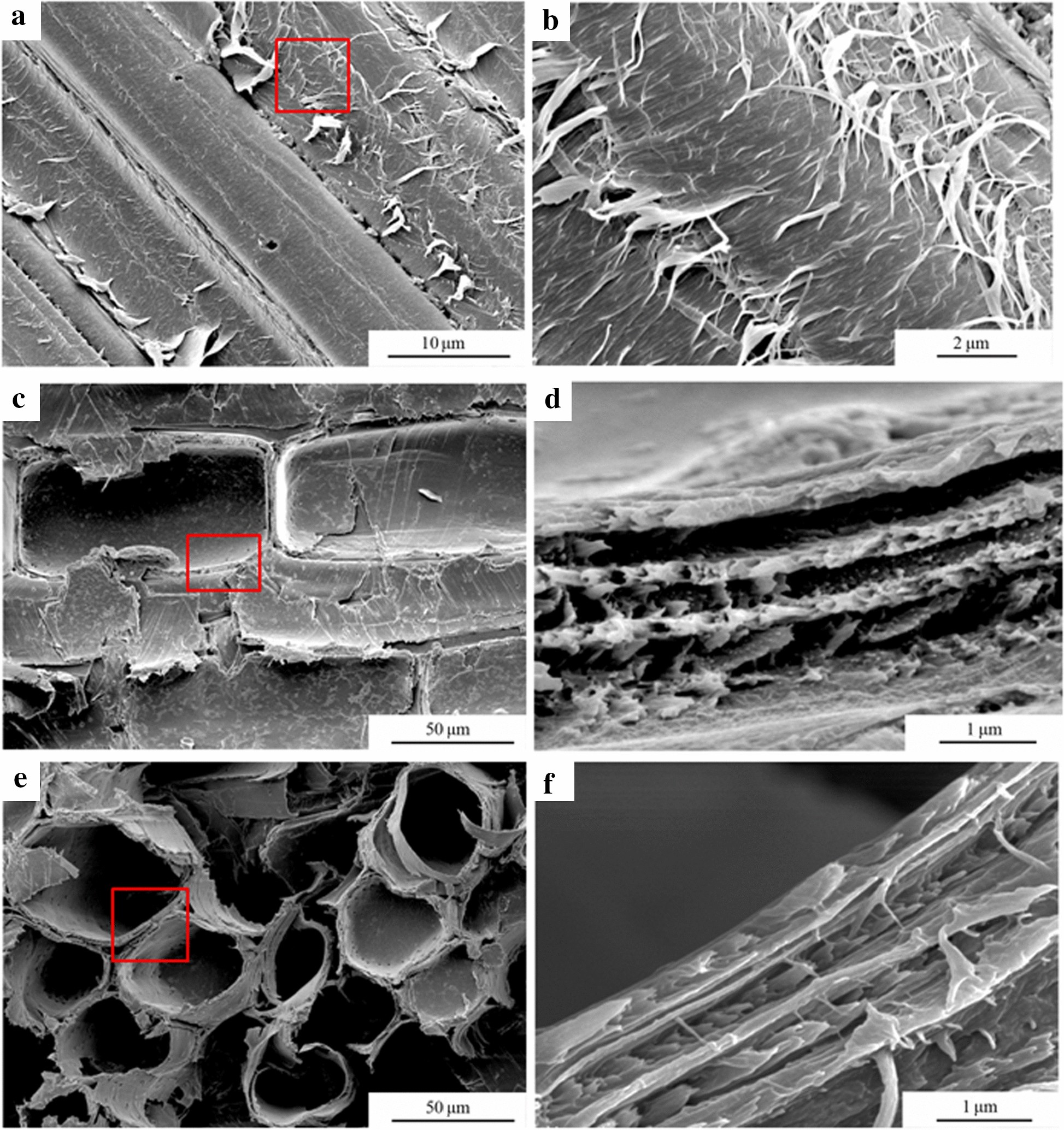 Fig. 6