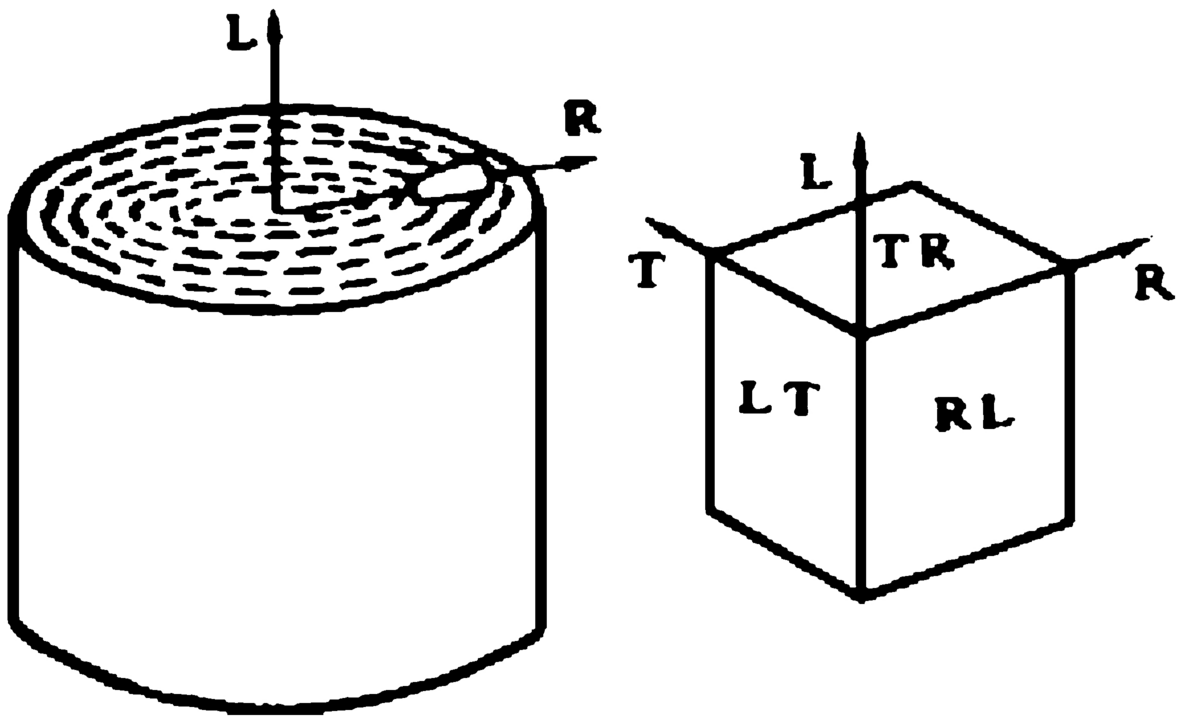 Fig. 14