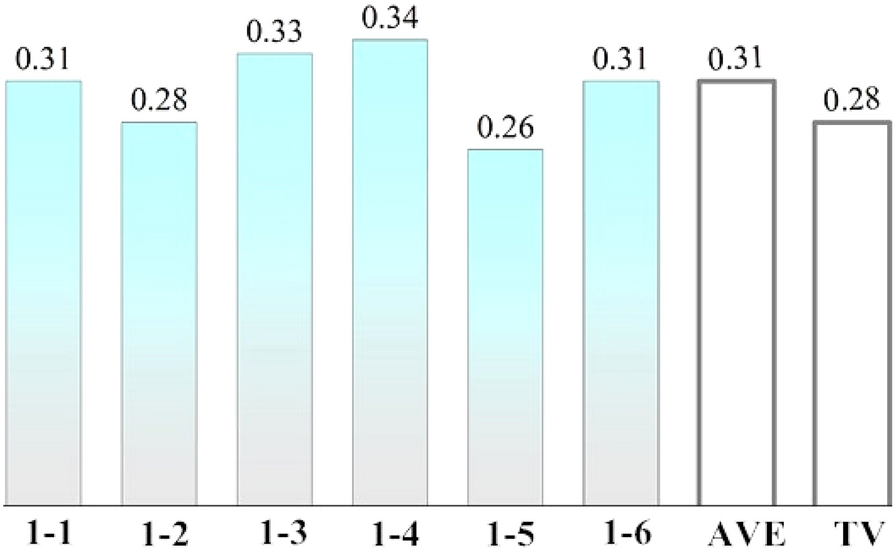 Fig. 10