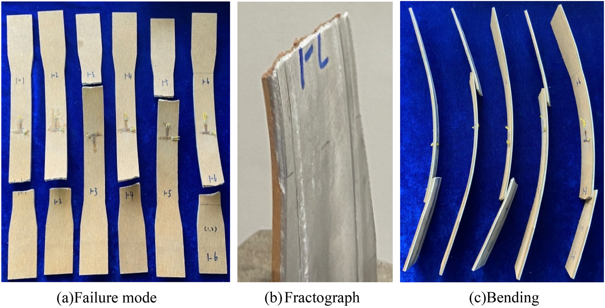 Fig. 4