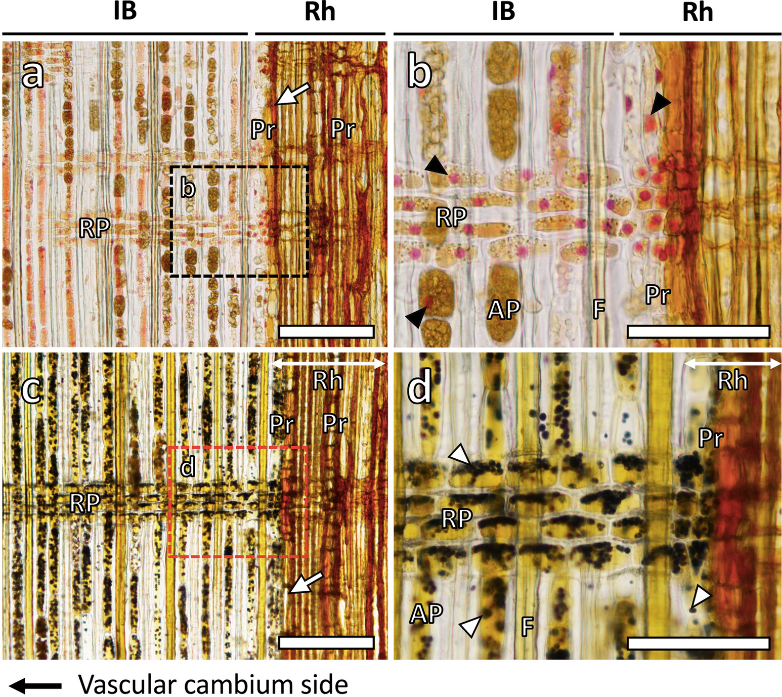 Fig. 2