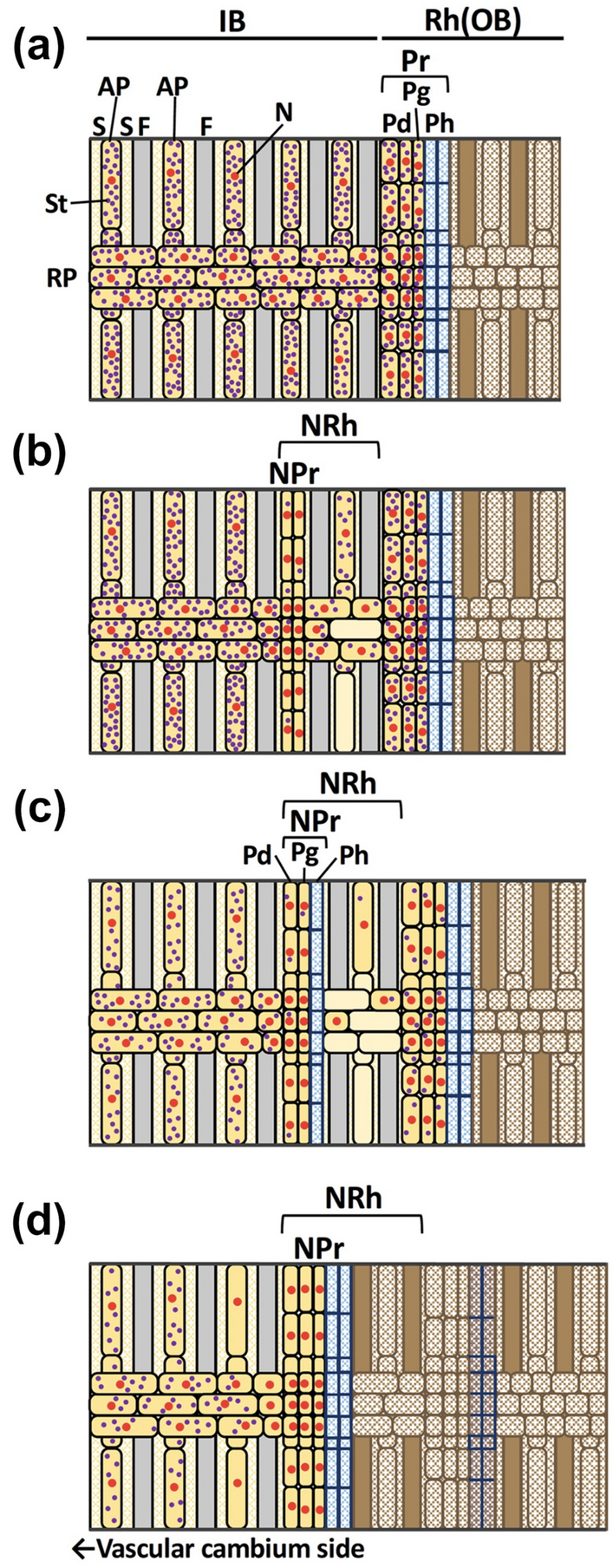 Fig. 7