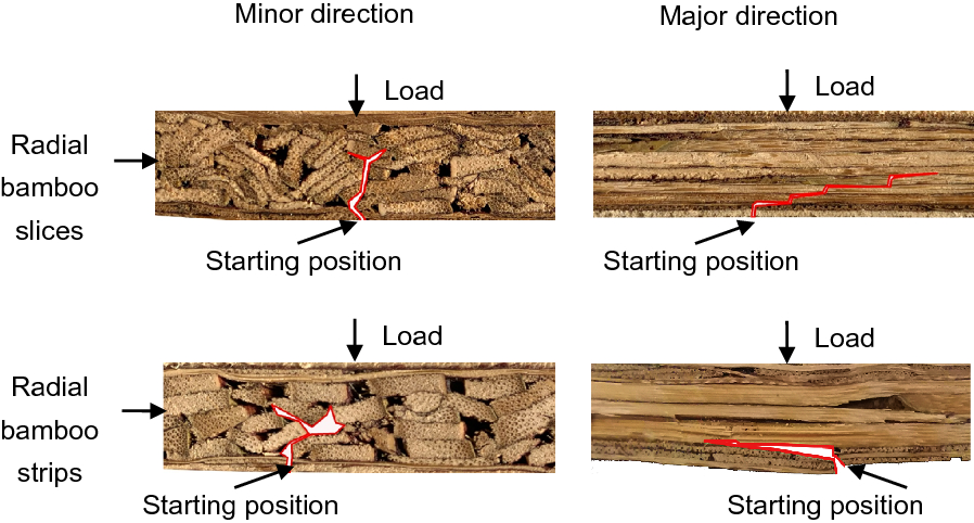 Fig. 8