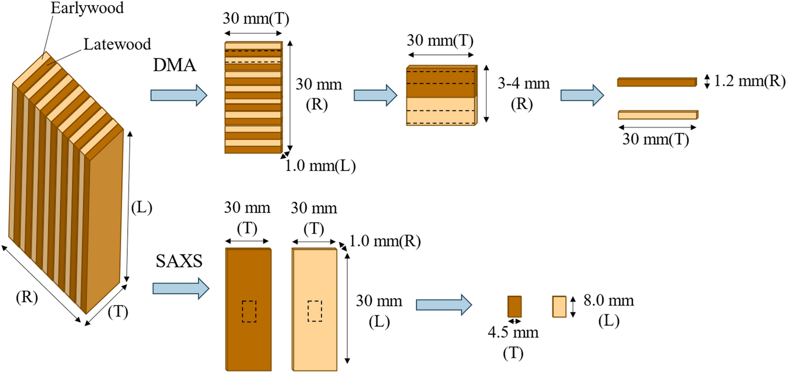 Fig. 1